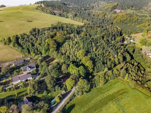 Prodej lesa, Šimonovice, 30343 m2