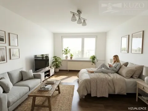 Pronájem bytu 1+kk, Příbram, Jana Drdy, 30 m2