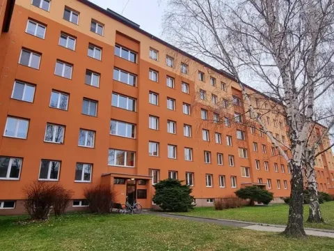Pronájem bytu 1+1, Opava, 17. listopadu, 38 m2