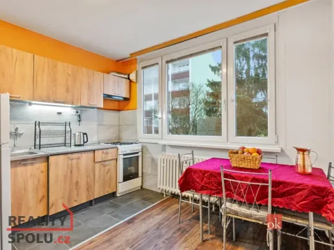 Prodej bytu 2+1, Mladá Boleslav - Mladá Boleslav II, Palackého, 46 m2