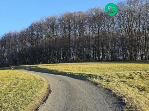 Prodej lesa, Vsetín, Semetín, 96946 m2