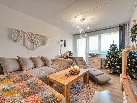 Prodej bytu 3+1, Třemošná, Sídliště, 64 m2