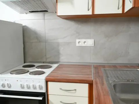 Pronájem bytu 1+1, Praha - Nusle, Družstevní, 36 m2