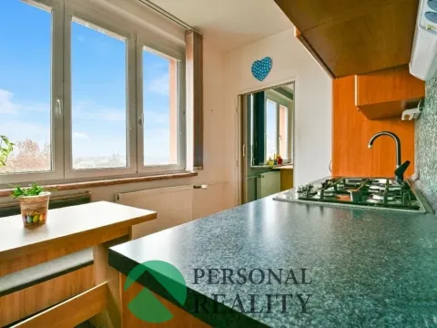 Prodej bytu 2+1, Cheb, Žižkova, 55 m2