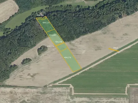 Prodej lesa, Vyšehořovice, 19741 m2