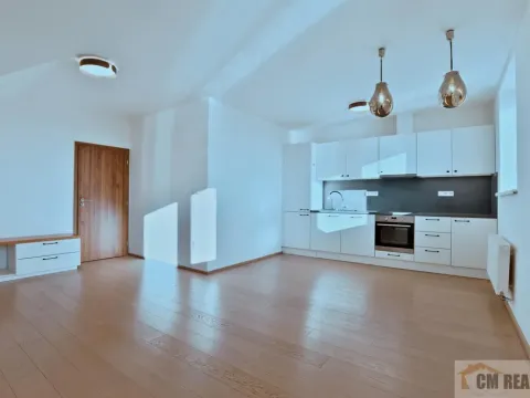 Pronájem bytu 4+kk, Olomouc - Hodolany, Holická, 82 m2