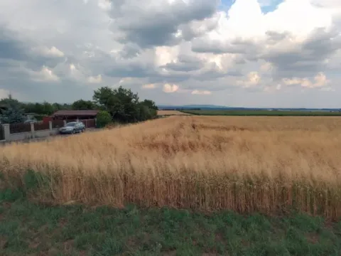 Prodej pozemku pro bydlení, Tršice, 600 m2