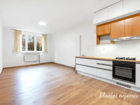 Pronájem bytu 2+kk, Praha - Nusle, Na Jezerce, 52 m2