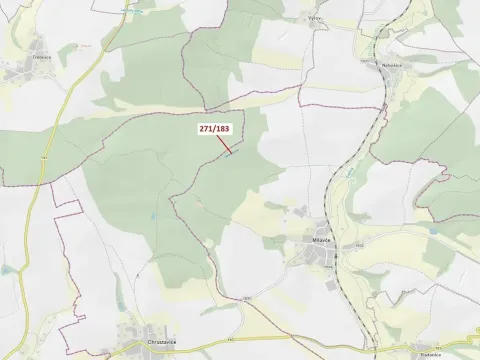 Dražba lesa, Milavče, 2398 m2