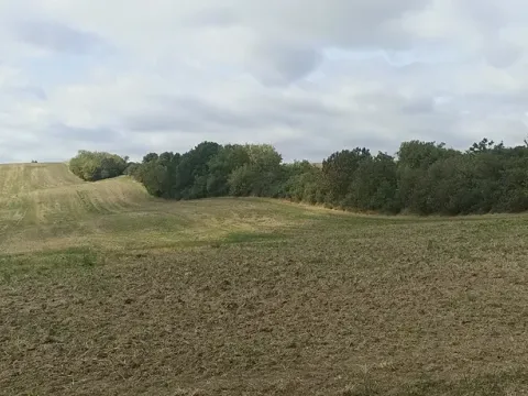 Prodej pozemku pro bydlení, Bohdalice-Pavlovice, 3936 m2