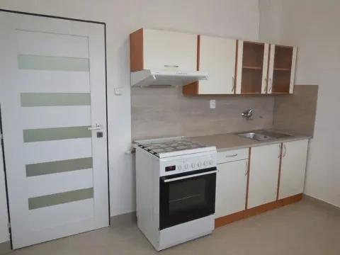 Pronájem bytu 1+1, České Budějovice - České Budějovice 3, Nerudova, 39 m2