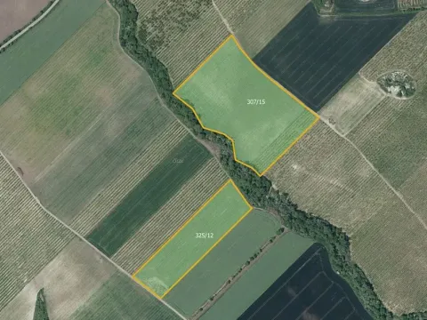 Prodej sadu/vinice, Želkovice, 133318 m2