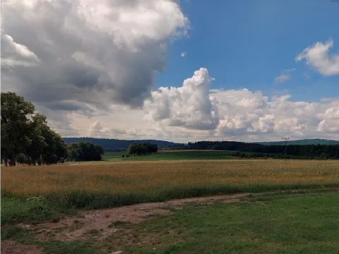 Prodej pozemku, Hluboká nad Vltavou - Kostelec, 4321 m2