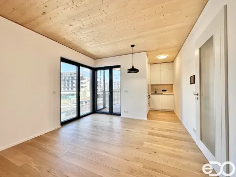Pronájem bytu 3+kk, Praha, Ujgurská, 57 m2