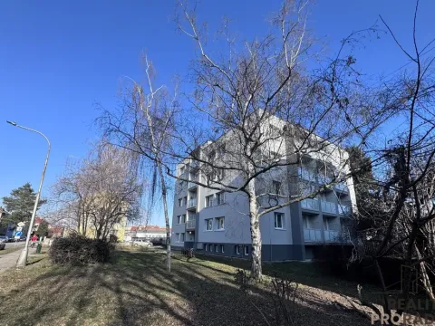 Pronájem bytu 3+1, Břeclav, Bří. Mrštíků, 59 m2