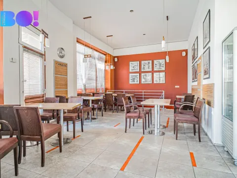 Pronájem obchodního prostoru, Český Těšín, Čapkova, 119 m2