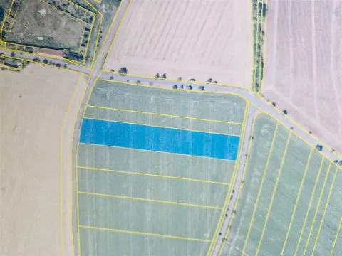 Prodej pole, Svojšice, 9757 m2