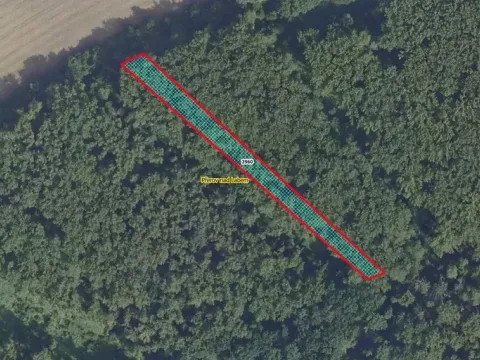 Prodej lesa, Přerov nad Labem, 2852 m2