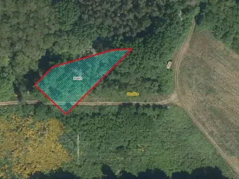 Prodej louky, Horušice, 1217 m2