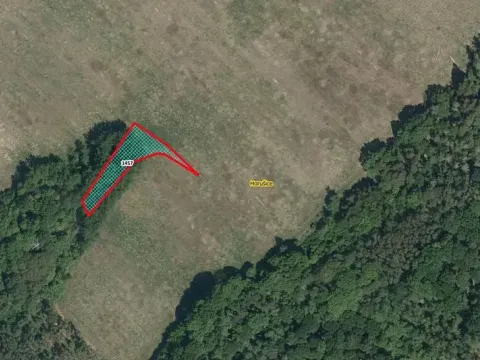 Prodej lesa, Horušice, 1029 m2