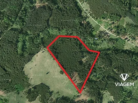 Prodej podílu lesa, Všechovice, 23376 m2