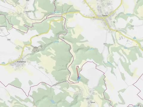 Dražba lesa, Pyšel, 6602 m2