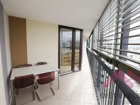 Pronájem bytu 1+kk, Praha - Žižkov, Pitterova, 66 m2