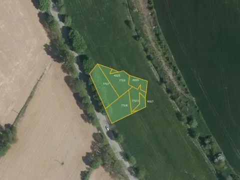 Prodej podílu louky, Černá, 889 m2