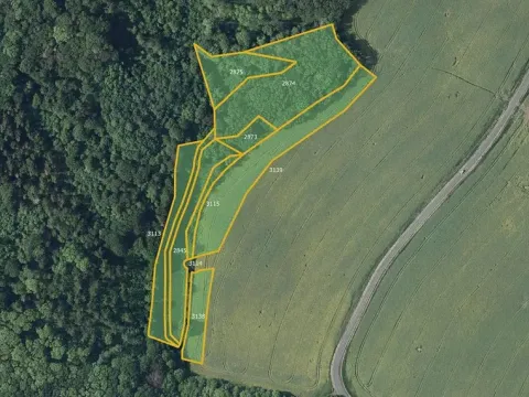 Prodej louky, Kostomlaty pod Milešovkou, 28333 m2