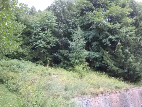 Dražba pozemku pro bydlení, Svoboda nad Úpou, 947 m2