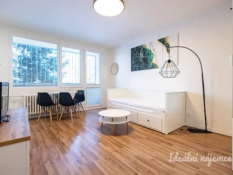 Pronájem bytu 1+kk, Praha - Michle, Mezipolí, 29 m2