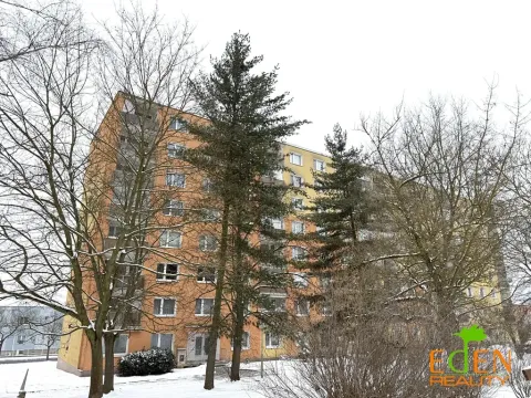 Pronájem bytu 1+kk, Plzeň, Na Dlouhých, 25 m2