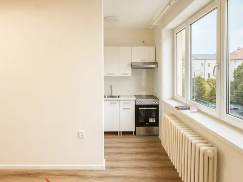 Pronájem bytu 1+kk, Vyškov - Vyškov-Město, Masarykovo náměstí, 25 m2