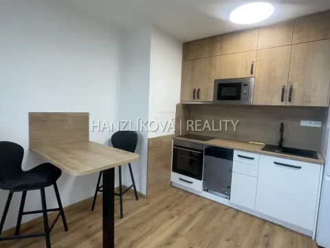 Pronájem bytu 1+kk, České Budějovice, Dobrovodská, 32 m2