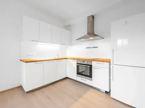 Pronájem bytu 1+kk, Praha - Žižkov, Tetauerova, 33 m2