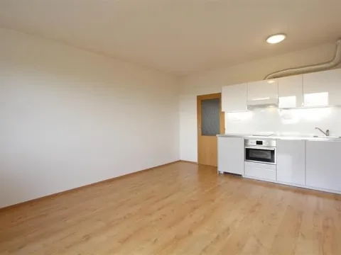 Pronájem bytu 1+kk, Brno, Bučkova, 27 m2