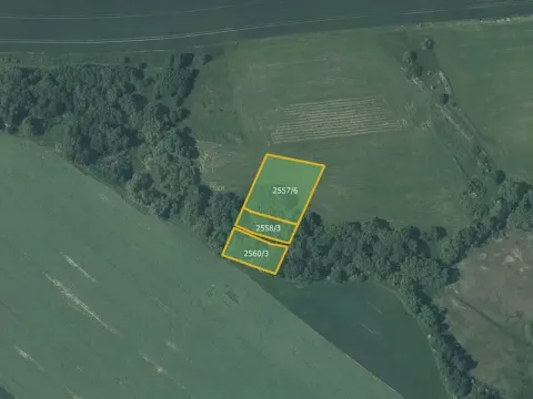 Prodej louky, Vítkov, 5637 m2