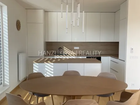 Pronájem bytu 4+kk, České Budějovice - České Budějovice 2, Branišovská, 103 m2