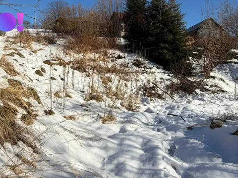 Prodej pozemku pro bydlení, Bukovec, 711 m2