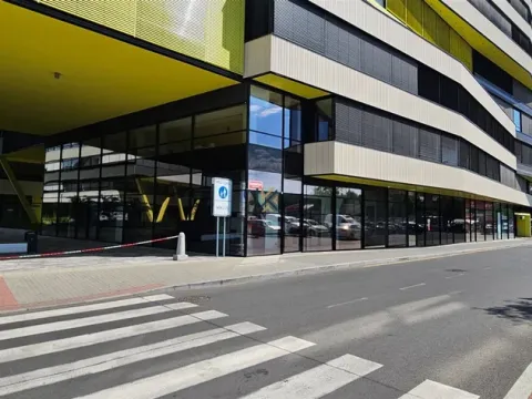 Pronájem obchodního prostoru, Praha - Libeň, Boudníkova, 257 m2