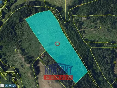 Prodej lesa, Okrouhlice - Vadín, 13839 m2