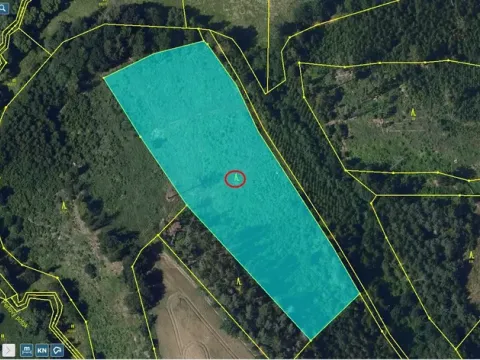 Prodej lesa, Okrouhlice - Vadín, 11240 m2