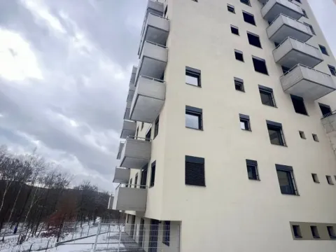 Pronájem bytu 1+kk, Liberec - Liberec XII-Staré Pavlovice, Polní, 34 m2