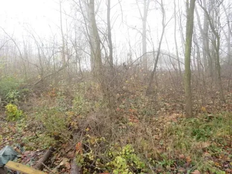 Dražba zahrady, Staré Město, 490 m2