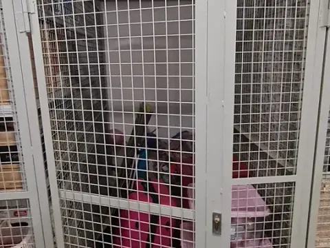 Pronájem - jiné, Praha - Záběhlice, Ve slatinách, 3 m2