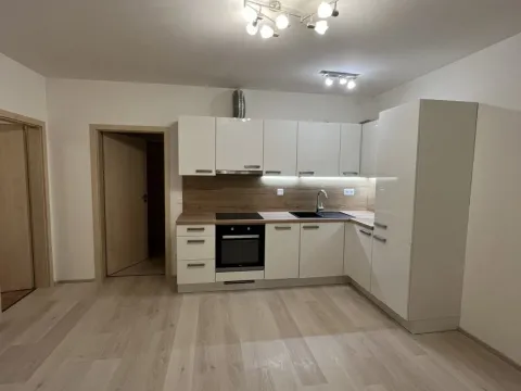 Pronájem bytu 2+kk, Olomouc, Eduarda Hamburgera, 45 m2