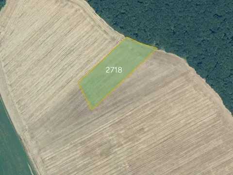 Prodej pole, Malé Hoste, Slovensko, 13393 m2