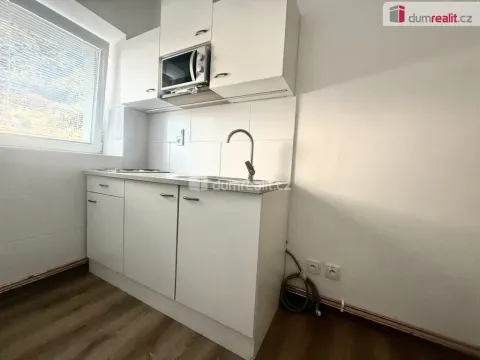 Pronájem bytu 1+1, Ústí nad Labem - Všebořice, Zahradní, 37 m2