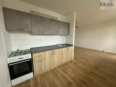 Pronájem bytu 2+1, Bílina - Pražské Předměstí, Bezejmenná, 48 m2
