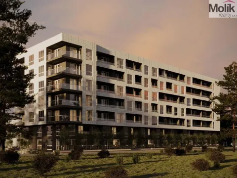 Prodej bytu 1+kk, Golem, 47 m2